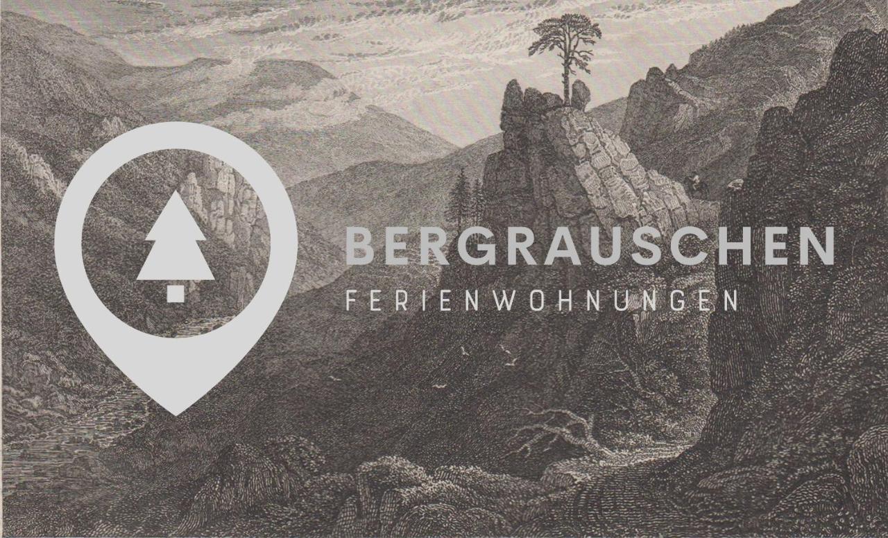 Bergrauschen - Waldloft - Preise Inklusive Waesche Apartment Goslar Exterior photo